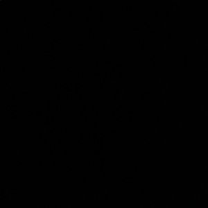 Meet your Posher, Beverly